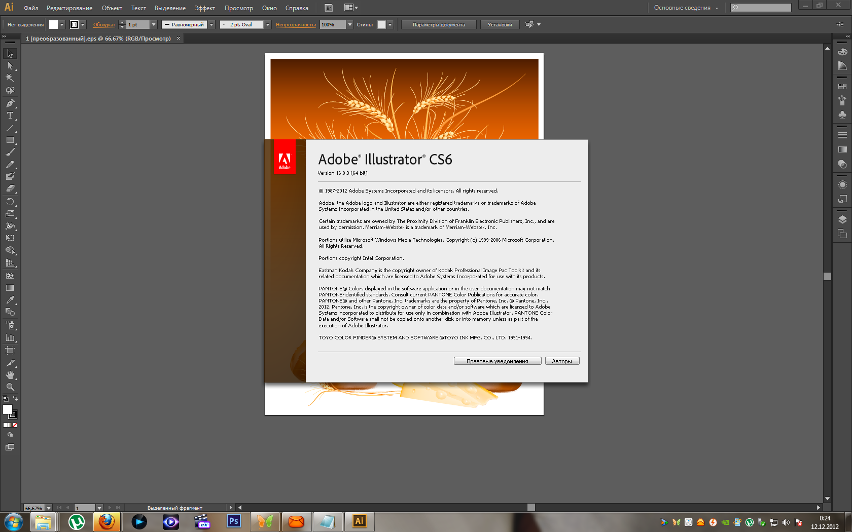 Adobe Illustrator CS6 v.16.0.3 ML/Rus