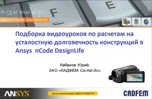   Ansys nCode DesignLife(Cadfem)