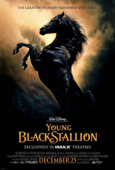 Рожденный в пecкax / The Young Black Stallion (DVDRip/2003)
