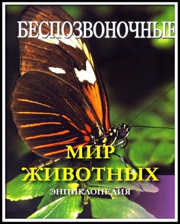 Мир животных - Беспозвоночные. Энциклопедия