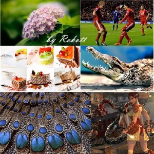 Collection of wallpapers 655 Collection of wallpapers 655