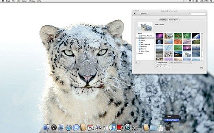 Mac OS Snow Leopard 10.6.4 with VMware Workstation 8