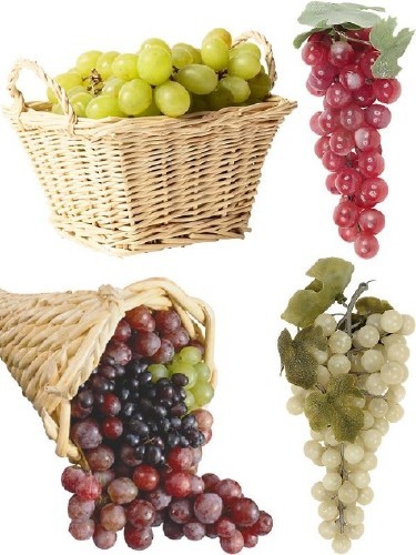 Photostock: fruit - grapes