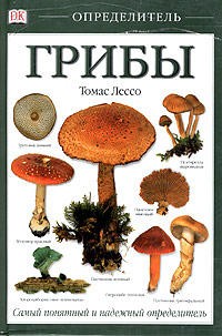 Грибы. Определитель