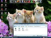 Windows XP Professional SP3 32-bit by ATF7 06.2011.beta (RUS)