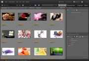 Adobe Photoshop Elements 9.0.3 (Ml/Rus)