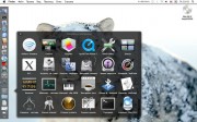 Mac OS X 10.6 Snow Leopard Build 10A432 Golden Master