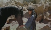 Рожденный в песках / The Young Black Stallion (DVDRip/2003)